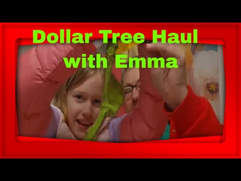 Emma Unboxes And Reviews her Dollar Tree haul her take on the Clay fluff yay or nay?