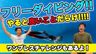 【雑学回】何気なくやっている・フリーダイビング・スキンダイビングですがやっているとこんなによい効果があるんです！