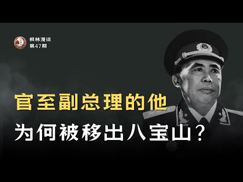 官至副总理的他，为何被移出八宝山？