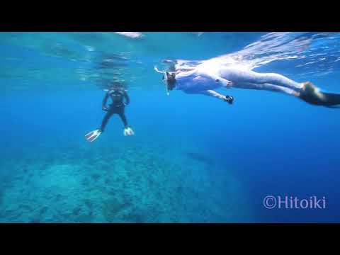 沖縄本島でシュノーケリング！実はすごい流れてます（2019年8月3日恩納村ウドゥイガマ前）