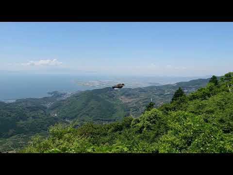 【癒し動画】熊本県熊本市西区　金峰山　#野鳥　#スローモーション動画