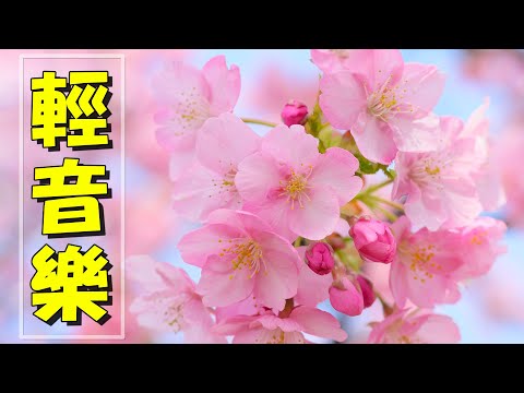 【非常好听】🎷🎷週末聽50首最好的老音樂 🌺早上最適合聽的輕音樂 🎵 每天調心洗滌心性 - 薩克斯風 - 無廣告音樂  - 轻音乐 - 探戈老歌 Old Taiwanese Music