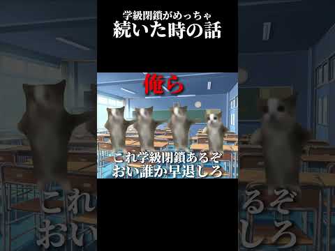 学級閉鎖が2連続続いた時の話。#shorts #猫ミーム #猫