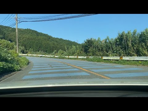 米ノ山/復路/晴れ/昼