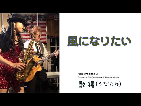 【長岡京 Wood Stock】"風になりたい”（The Boom） Cover by Trumpet & Acoustic Guitar