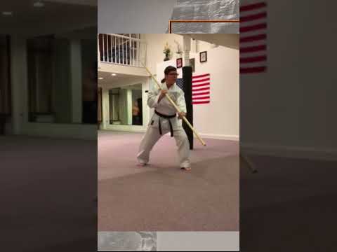 The Path of a Karateka; Mastering Okinawan Martial Arts #karateka #karate