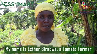 Empowering Farmers Through Essymart Africa