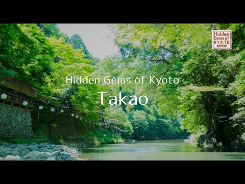 Hidden Gems of Kyoto  Takao