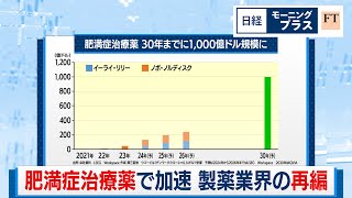 肥満症治療薬で加速 製薬業界の再編【日経モープラFT】（2024年5月17日）