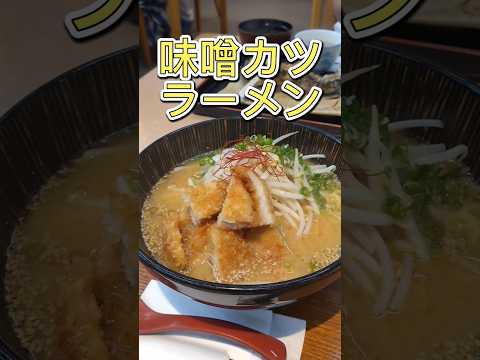 味噌カツラーメンと四万十定食　道の駅布施ヶ坂　#高知観光 #ラーメン #道の駅