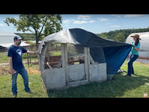 This HOOP COOP Lasted 4 years without REPAIRS!  UNTIL TODAY!