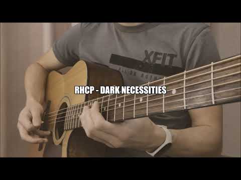 RHCP - Dark Necessities / acoustic guitar solo