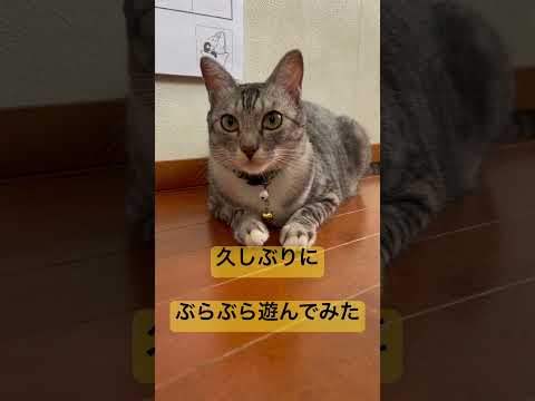 ぶらぶら