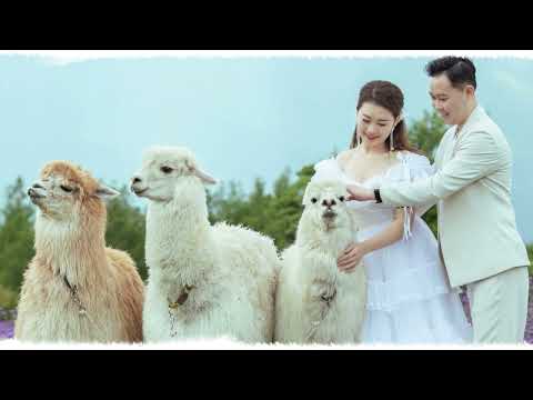 七夕快乐👰🏻Wedding photoshoot in Yunnan China