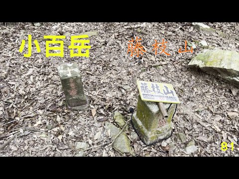 小百岳：藤枝山