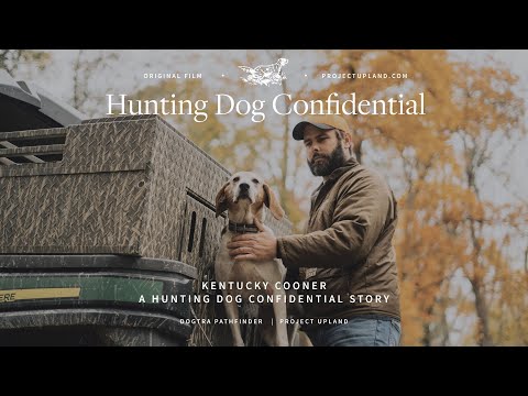 Raccoon Hunting Dogs - Kentucky Cooner - Hunting Dog Confidential