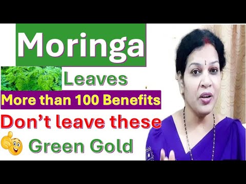 "Moringa Leaves - Don't Leave These Green Gold" - More than 100 Benefits for Good Health