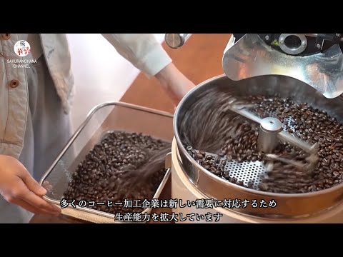 雲南のコーヒー生産者、国内外需要に対応するため全力