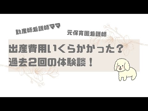 【出産】出産費用いくら持ち出した？出産育児一時金42万円じゃ足りない？