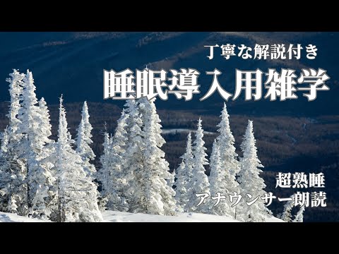 【睡眠導入用】【雑学】(解説付き)【志賀高原】【雪景色】私をスキーに連れて行って