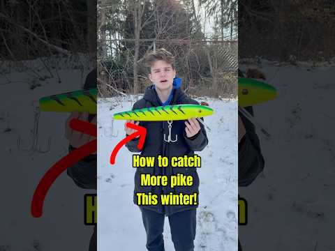 HOW TO Catch More PIKE This Winter!! #shorts #fishing