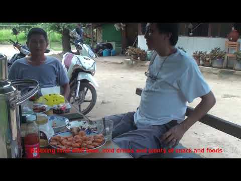 Field trip to rubber plantation in Pegu Yoma, Myanmar