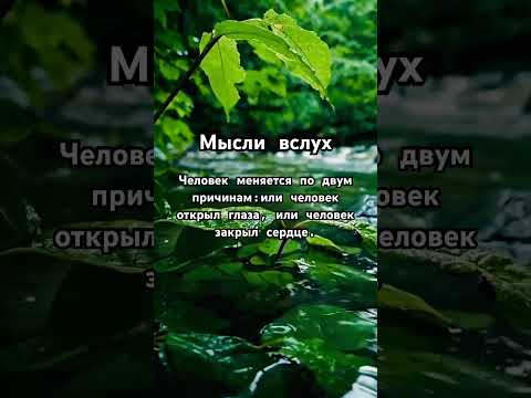 Мысли вслух #мысливслух #мысли #цитаты