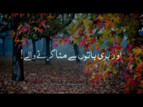 Momin Kin Logon Ko Kehte Hai 🥀 | Islamic WhatsApp Status |