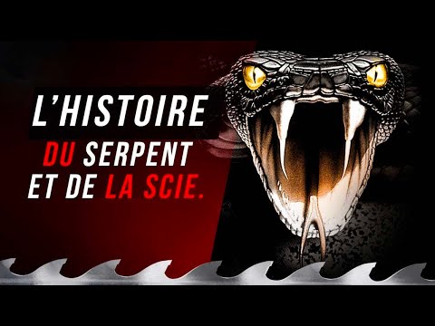 Une histoire inspirante à propos de la Colère et du Lâcher-prise !