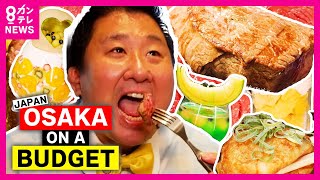 Budget Trip in Osaka, Japan｜fallindebu フォーリンデブはっしー