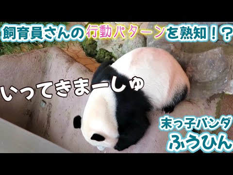 飼育員さんに来てもらう方法を熟知している楓浜🍁