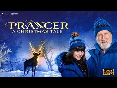 Prancer (1989) Movie | Drama & Family | Rebecca Harrell, Sam | Prancer Full Movie Review & Fact