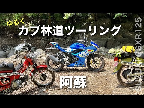 【GSX R125】でカブと阿蘇林道ツーリング 。阿蘇 熊本 地層坂 原付二種  クラブトリプルコーション!!!｜ 福山理子のカブカブさん　GSX R125 R150 スーパースポーツスクランブラー