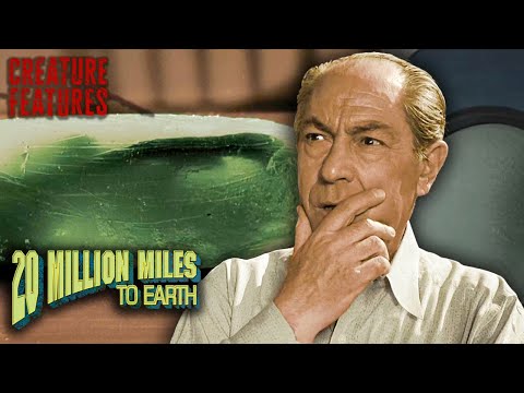 Doctor Intrigued By The Mass | 20 Million Miles To Earth | Creature Features