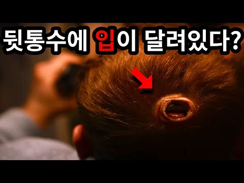 탈모인의 머리에만 기생하는 벌레의 정체는..? [공포영화]