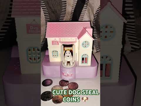 Cute Dog Stealing Coins Asmr 🐶🌈#shortsfeed #shorts #trending #viralvideo #funny #satisfying