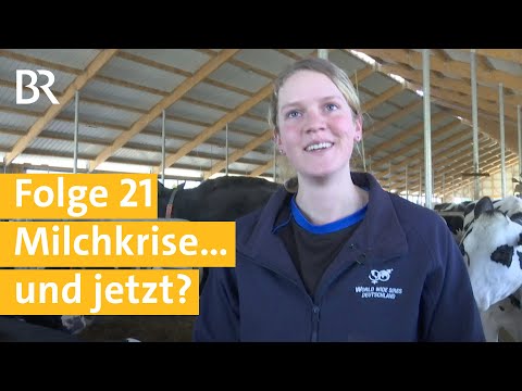 Stallgeschichten Folge 21: Durch die Milchkrise mit 580 Kühen im neuen Kuhstall | Unser Land | BR