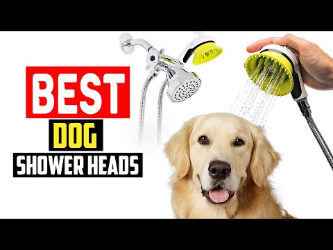 ✅Top 5 Best Dog Shower Heads in 2023