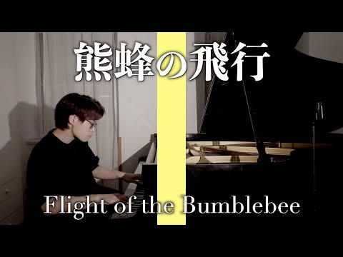 【奇跡の一発撮り】熊蜂の飛行 /THE FIRST TAKE【超高速チャレンジ】