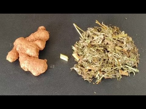 Mugwort and ginger are amazing. A 96-year-old Chinese medicine doctor in the village has been usin