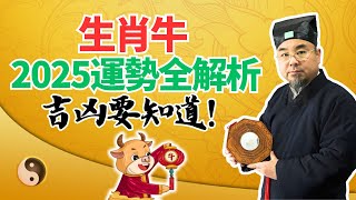 生肖牛，2025乙巳蛇年流年運勢全解析！吉凶大揭秘！属牛人必看！ #2025年生肖牛運勢 #2025年生肖牛運程 #2025年屬牛運勢 #2025年屬牛運程