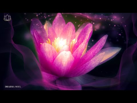 ♫ 乾淨無廣告 ♫ 開啟脈輪頌缽冥想～生命能量被活化 Tibetan Bowls Root Chakra Meditation