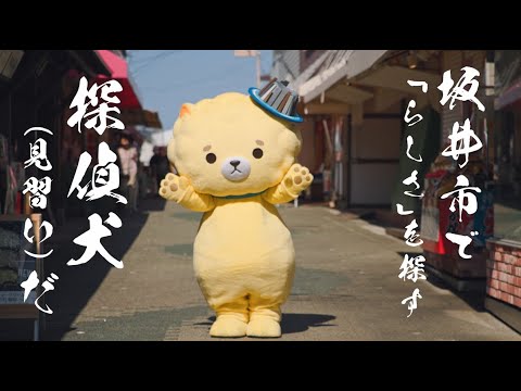 🍮坂井ほや丸主演🐾坂井チャンネルテレビCM「東尋坊編」