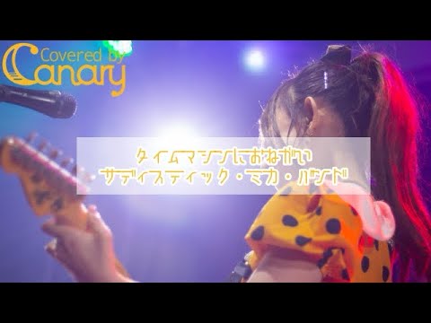 【cover】タイムマシンにおねがい／サディスティック・ミカ・バンド【ザ・ベストヒットキャナリー】