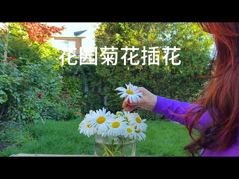 花园秋菊插花｜flower arrangement with chrysanthemum in Garden