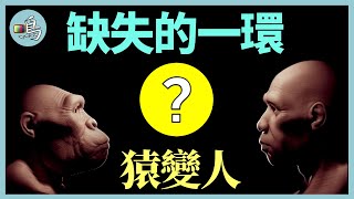 是什麼讓猿變成人？有關進化的奇異理論，迷幻之猿 l 老鳴TV