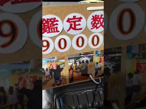 1,000人に1人の手相！？ 大阪・梅田の地下街で500円占いのお兄さん見っけ！（妻編） #手相占い　#ますかけ　#タロット占い