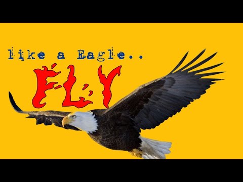 life meaningful status by eagle 🦅 powerful quotes