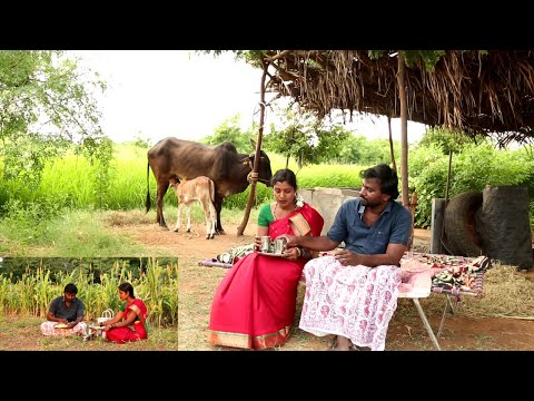 Gongura Pappu & Korra Annam ||Ragi java || Ashokalajyothi || Village Traditional Life.