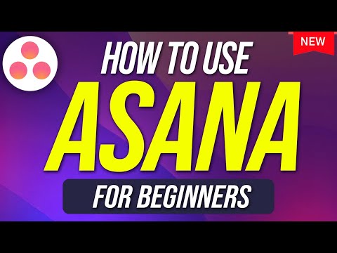 How To Use Asana For Beginners